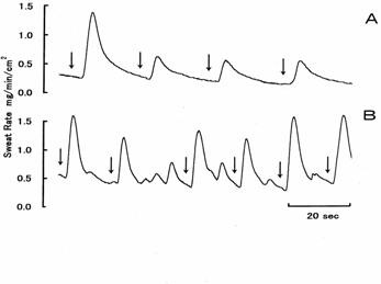 被験者二人のボールキャッチしたときの発汗の様子