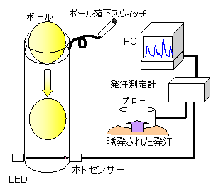 装置の概略図